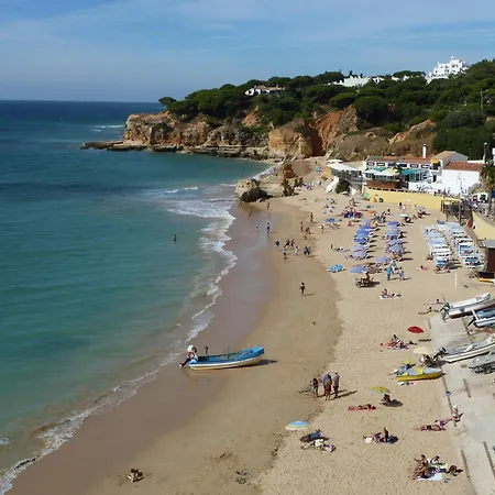 Ana אלבופיירה